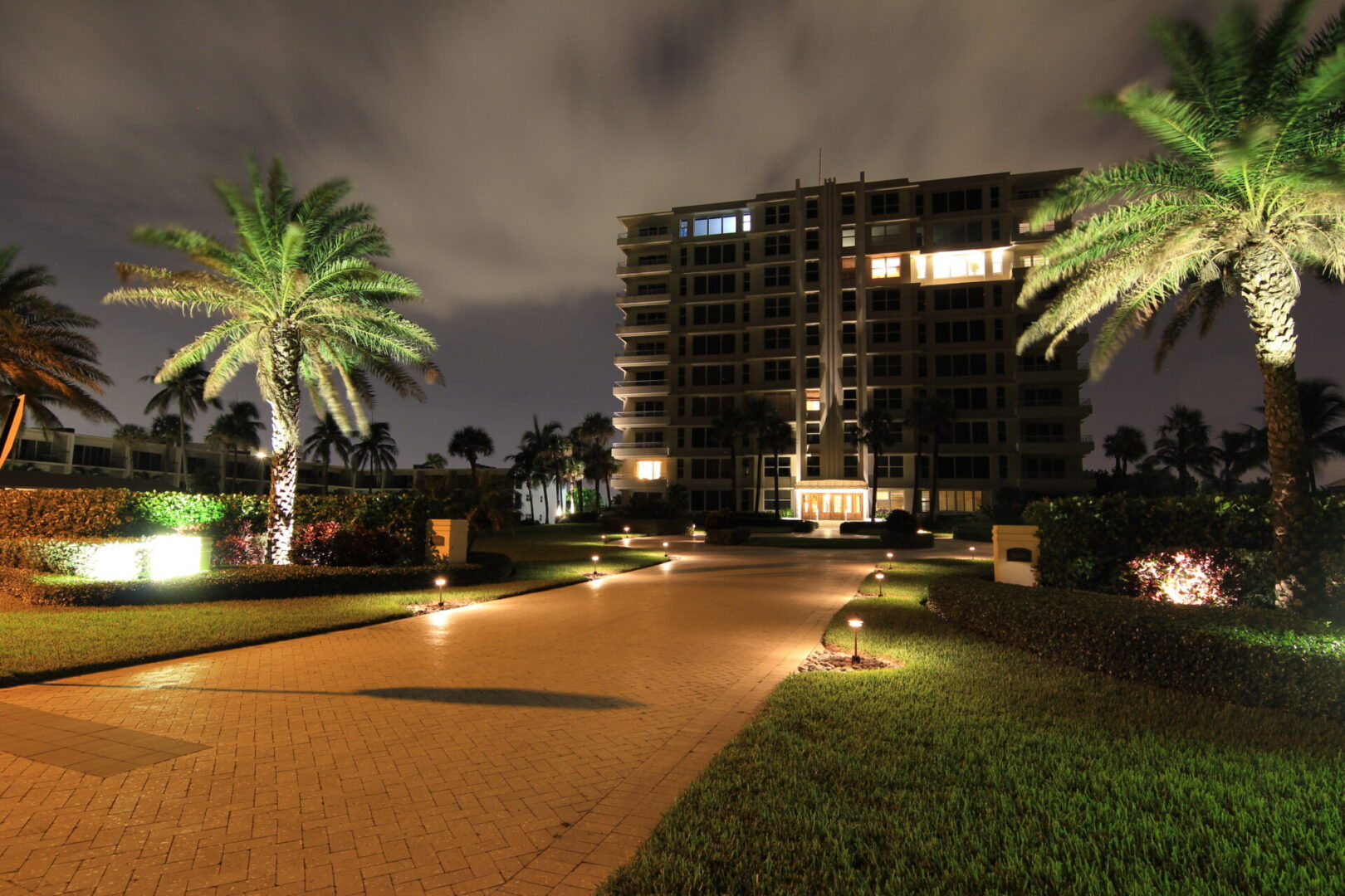 A night time view of the walkway and palm trees.